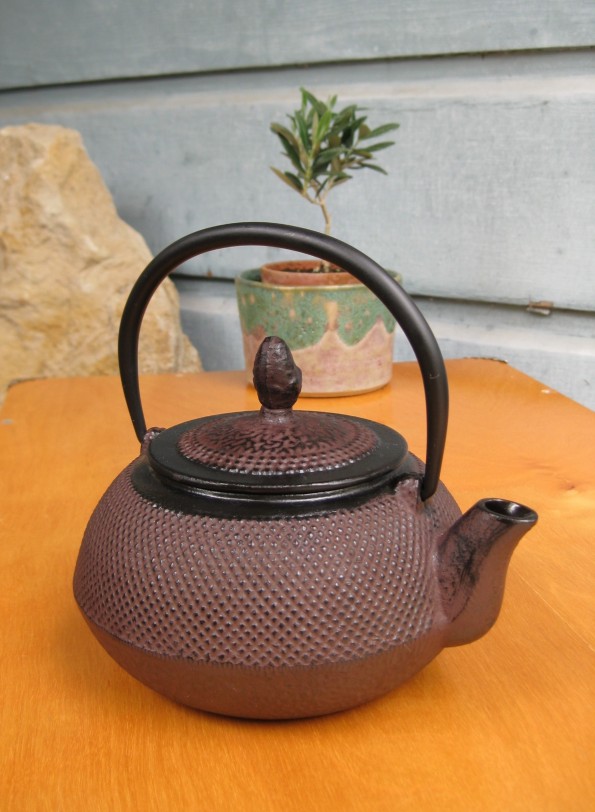 Tetsubin Cast Iron Tea Kettle